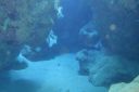 DSC00016.JPG