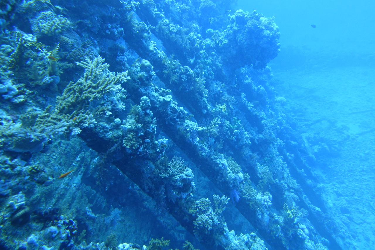 DSC00212.JPG