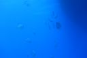 DSC00033.JPG