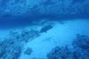 DSC00034.JPG