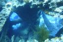 DSC00050.JPG