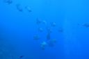 DSC00056.JPG