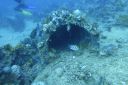 DSC00068.JPG
