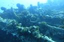 DSC00070.JPG