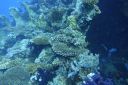 DSC00079.JPG
