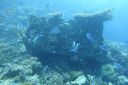 DSC00080.JPG
