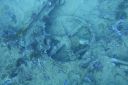 DSC00081.JPG