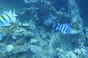 DSC00083.JPG