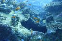 DSC00084.JPG