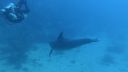 DSC00119.JPG