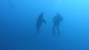 DSC00124.JPG