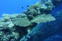 DSC00153.JPG