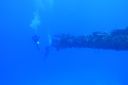 DSC00158.JPG
