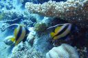 DSC00162.JPG