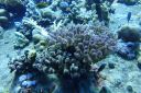 DSC00164.JPG