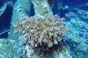DSC00166.JPG