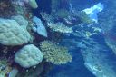 DSC00167.JPG