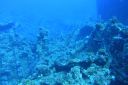 DSC00190.JPG