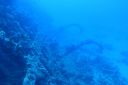 DSC00191.JPG