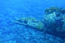 DSC00208.JPG