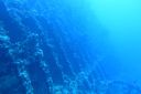 DSC00209.JPG