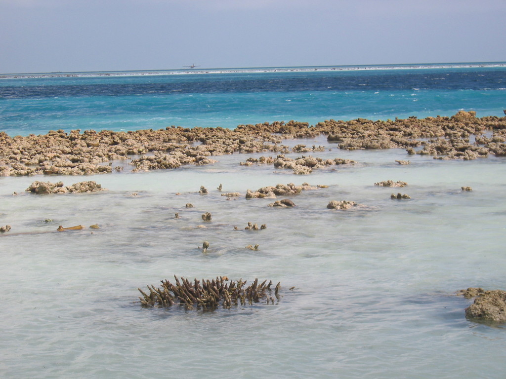 Vilamendhoo_Tsunami_2004_236.jpg