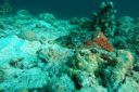 DSC00090.JPG