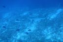 DSC00213.JPG