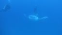 DSC00237.JPG