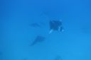 DSC00334.JPG