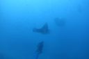 DSC00358.JPG