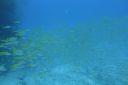 DSC00453.JPG
