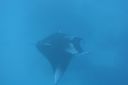 DSC00473.JPG